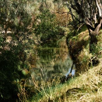 RENEWALSA MARCH FULLRESJPEG 18 RT min