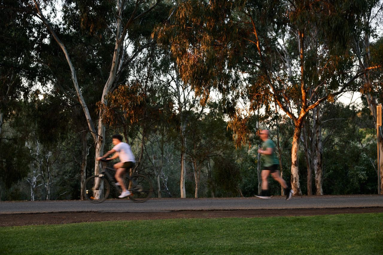 RENEWALSA THEBARTON 3843